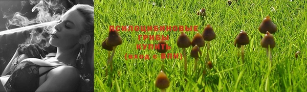 винт Новокубанск