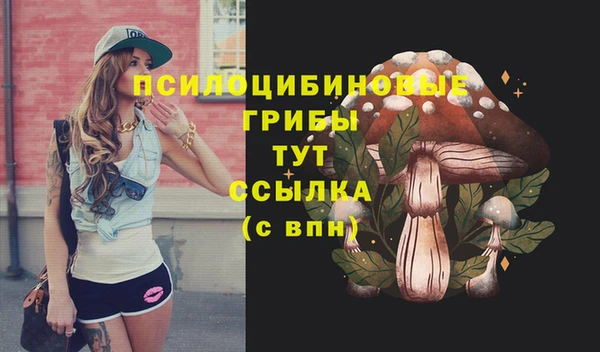 соль курить ск Нефтекумск