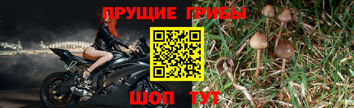 Лангепас  Псилоцибиновые грибы Magic Shrooms  Галлюциногенные грибы Psilocybe  Вход с VPN 